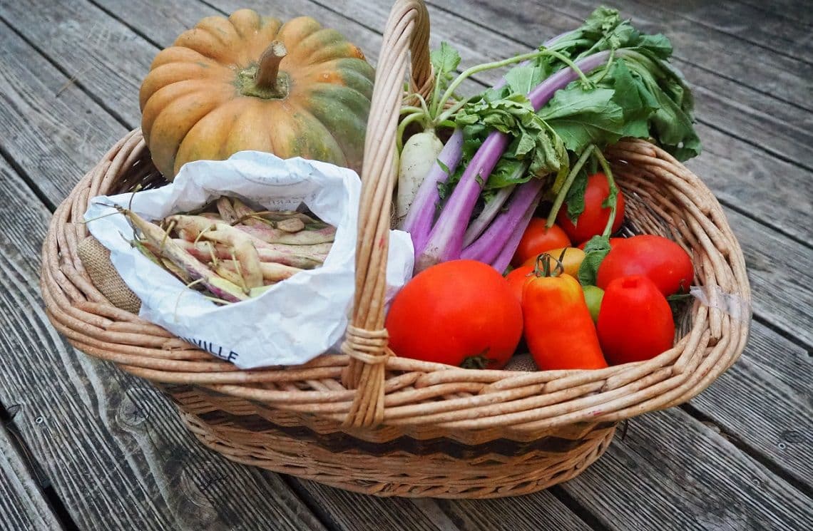 panier amap contenant une couge, des blettes, des carottes et haricots à écosser
